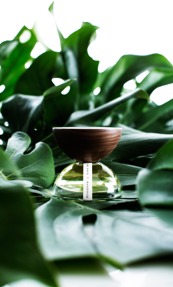 عطر ادکلن مانسترا شینو - Monstera Xinú - بررسی، قیمت و خرید