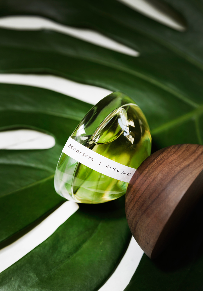 عطر ادکلن مانسترا شینو - Monstera Xinú - بررسی، قیمت و خرید