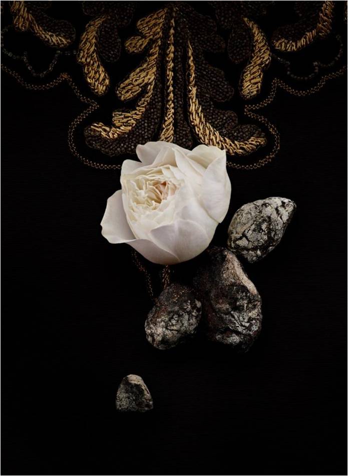 عطر ادکلن اکسکویزیت امبرودری ایو سن لوران - Exquisite Embroidery Yves Saint Laurent - بررسی، قیمت و خرید