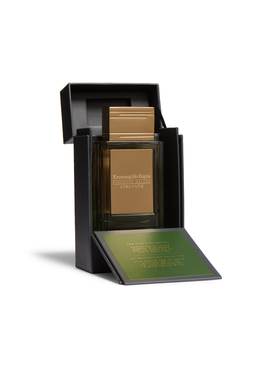 عطر ادکلن استرِنگث ارمنجیلدو زگنا - Strength Ermenegildo Zegna - بررسی، قیمت و خرید