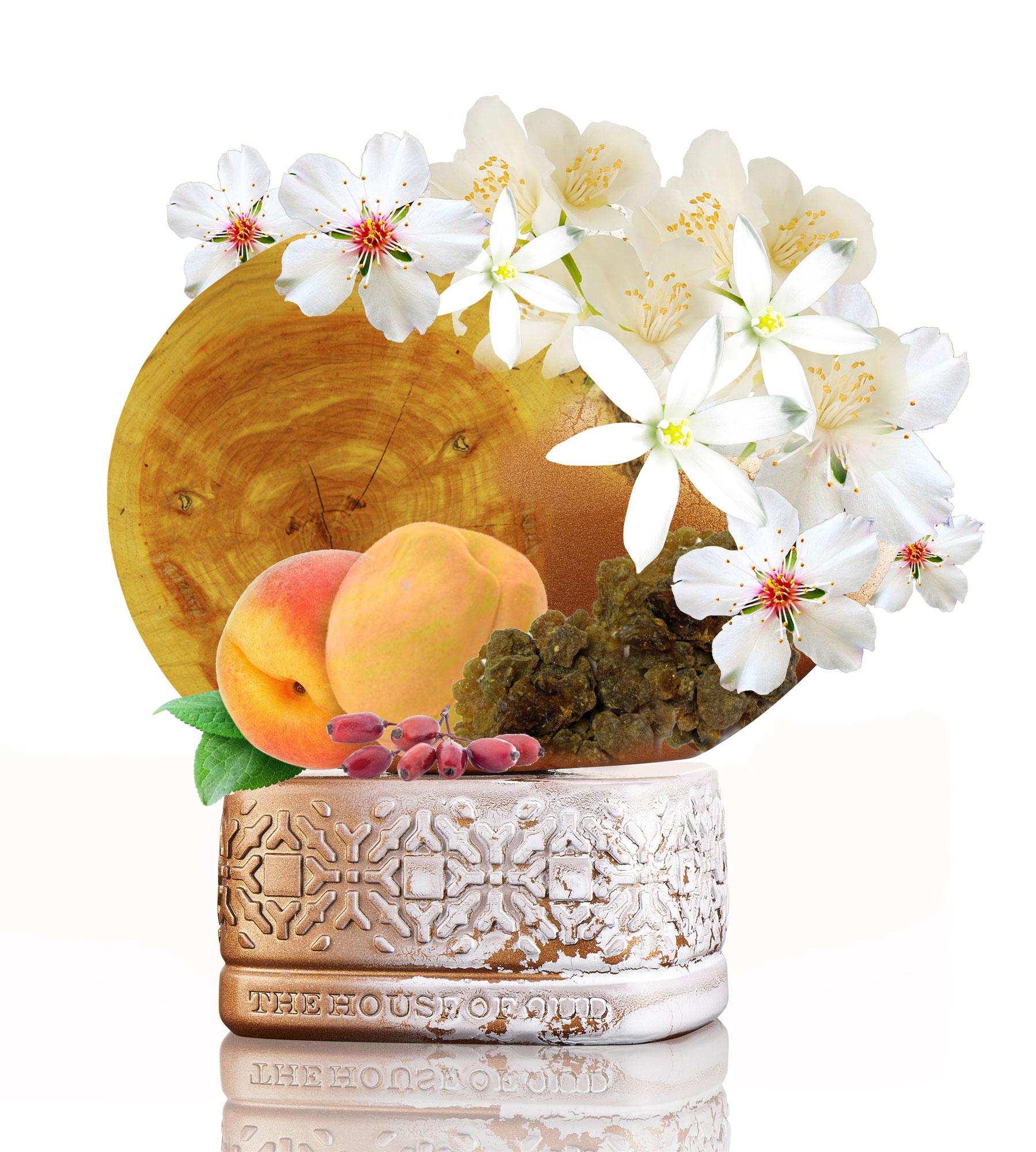 عطر ادکلن واندِرلی دَ هاوس آو عود - Wonderly The House of Oud - بررسی، قیمت و خرید