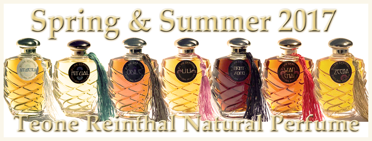 عطر ادکلن آنتارکتیکا ترنپ - Antarctica TRNP - بررسی، قیمت و خرید