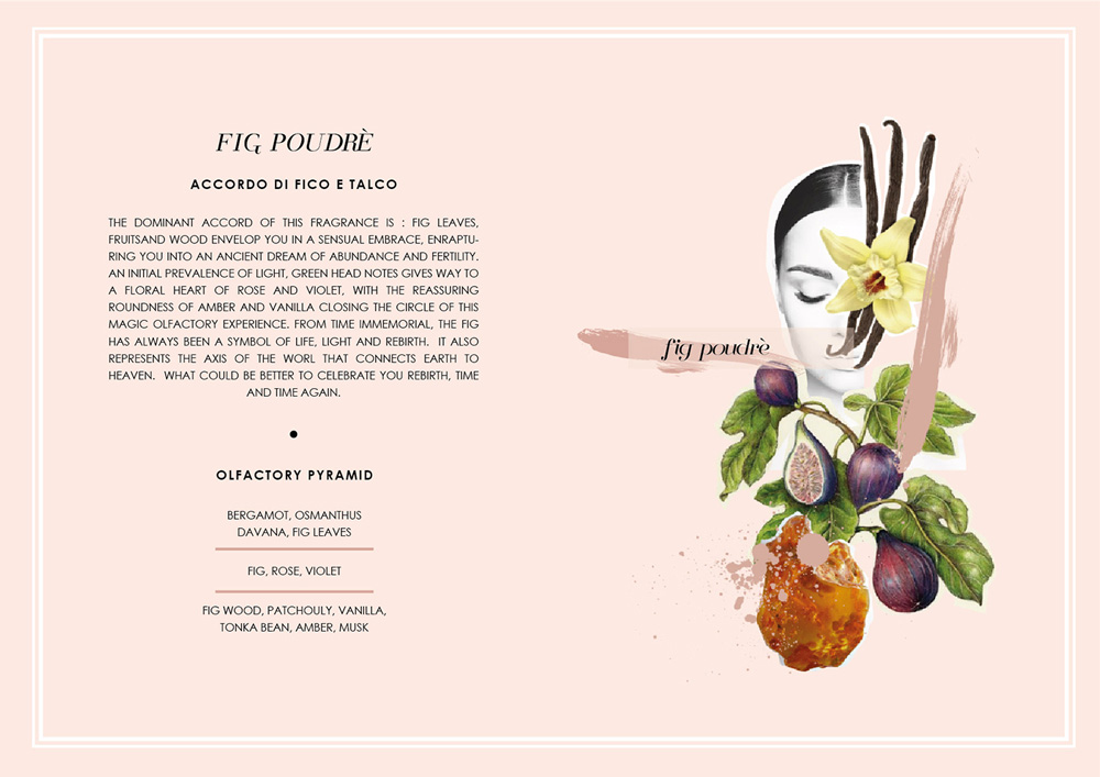 عطر ادکلن فیگ پوودره یوفیرست پورا ریناسیتا - Fig Poudre You First Pura Rinascita - بررسی، قیمت و خرید