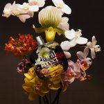 عطر ادکلن بِلَک لوتوس فلورال استریت - Black Lotus Floral Street - بررسی، قیمت و خرید