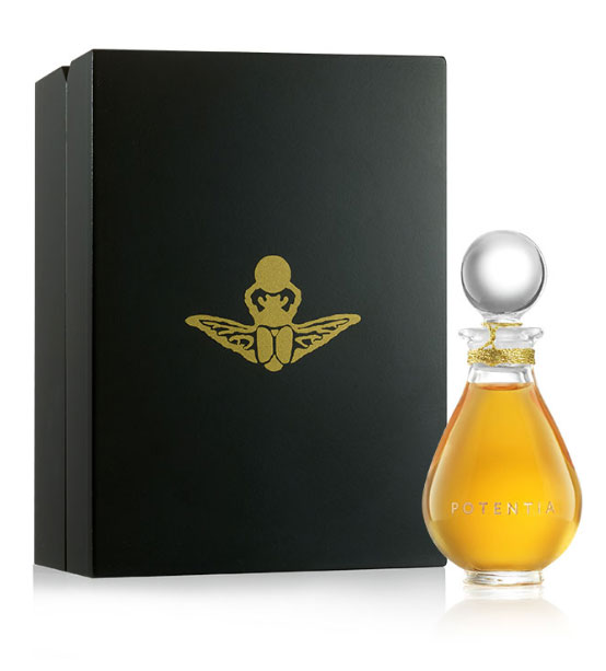 عطر ادکلن امبر گاد دِ هَوس آو پوتِنشیا - Amber God The House Of Potentia - بررسی، قیمت و خرید