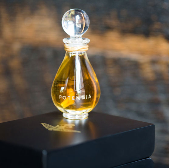 عطر ادکلن امبر گاد دِ هَوس آو پوتِنشیا - Amber God The House Of Potentia - بررسی، قیمت و خرید