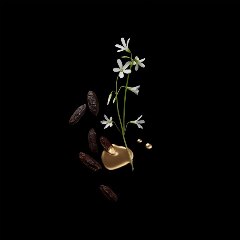 عطر ادکلن والنتینو نویر ابسولو ماسک اسنس والنتینو - Valentino Noir Absolu Musc Essence Valentino - بررسی، قیمت و خرید