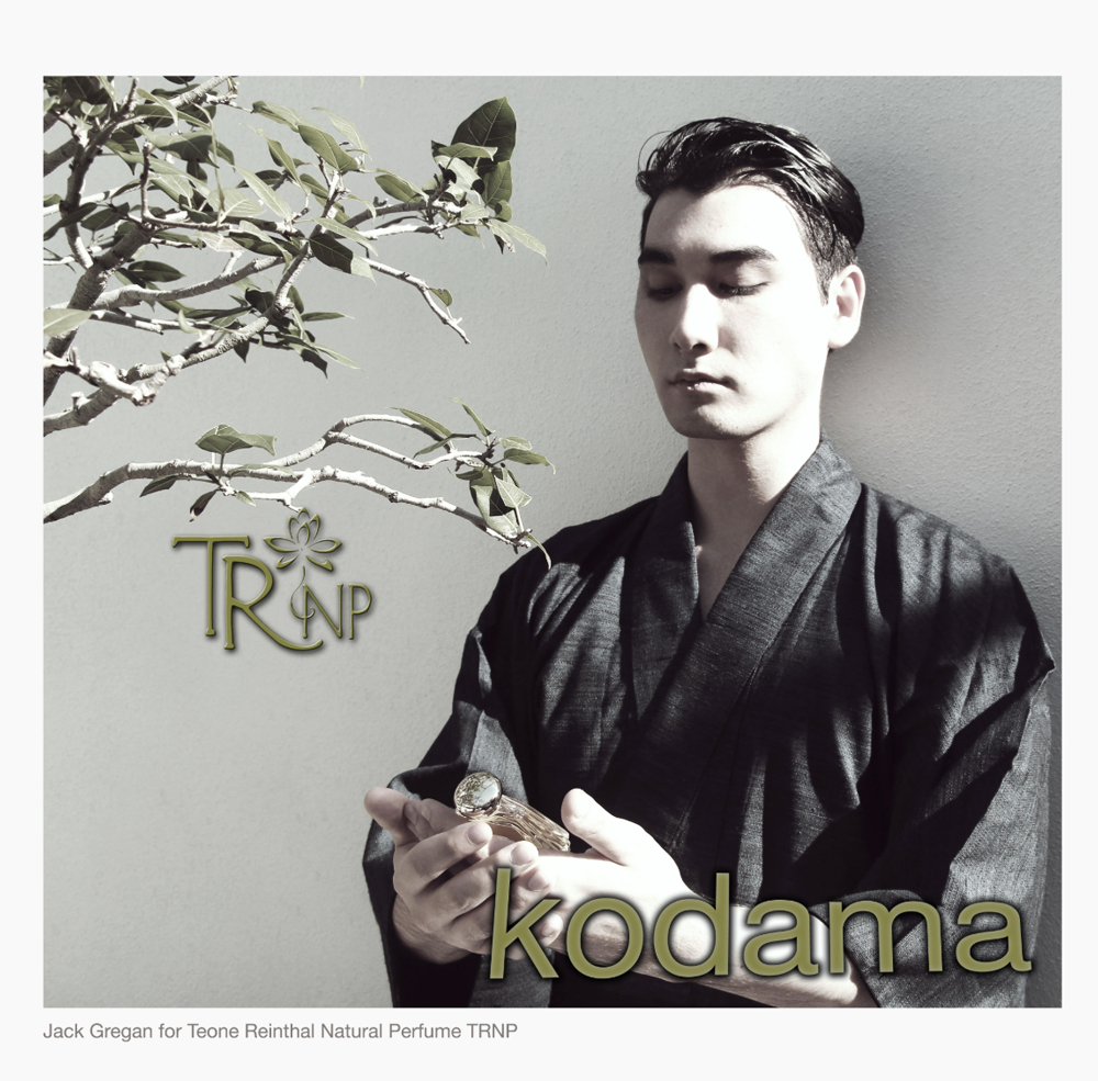 عطر ادکلن کوداما ترنپ - Kodama 木霊 TRNP - بررسی، قیمت و خرید