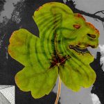 عطر ادکلن گرین‌لیون هرمتیکا - Greenlion Hermetica - بررسی، قیمت و خرید