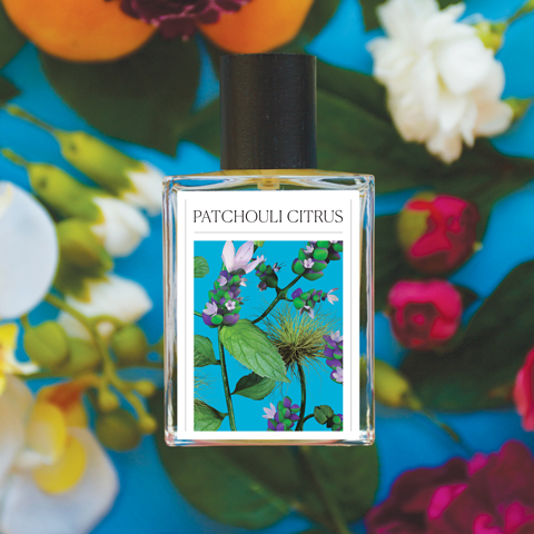 عطر ادکلن پچولی سیترس د سون ویرچوز - Patchouli Citrus The 7 Virtues - بررسی، قیمت و خرید