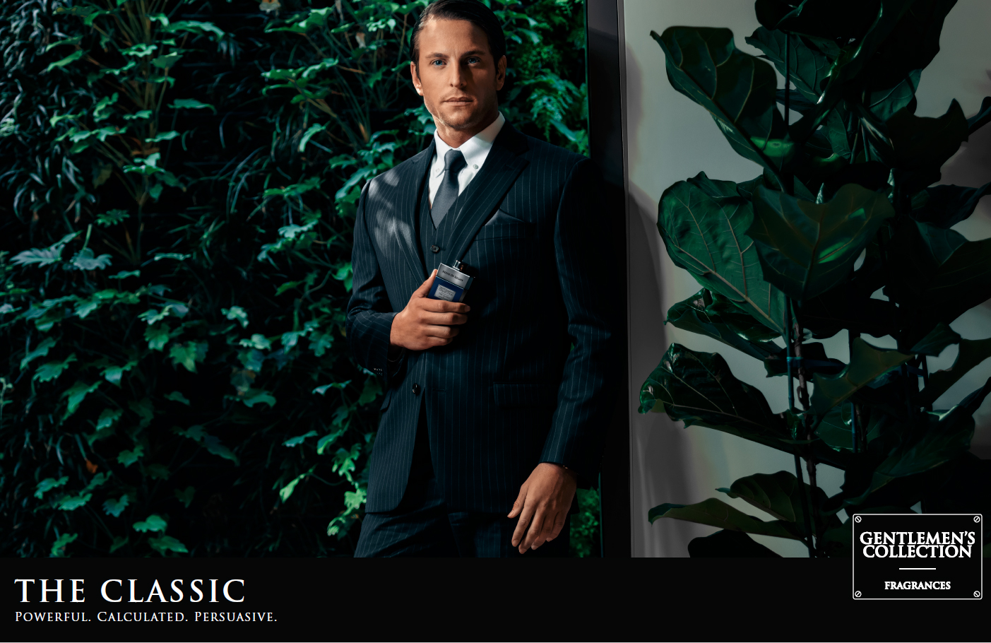 عطر ادکلن د کلاسیک هاوس آف سیلاج - The Classic House Of Sillage - بررسی، قیمت و خرید
