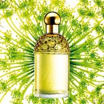 عطر ادکلن آکوا الیگوریا آنجلیک لیلاس گرلن - Aqua Allegoria Angelique Lilas Guerlain - بررسی، قیمت و خرید