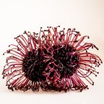 عطر ادکلن پنوما فری آردنز - Pneuma Fray Ardens - بررسی، قیمت و خرید