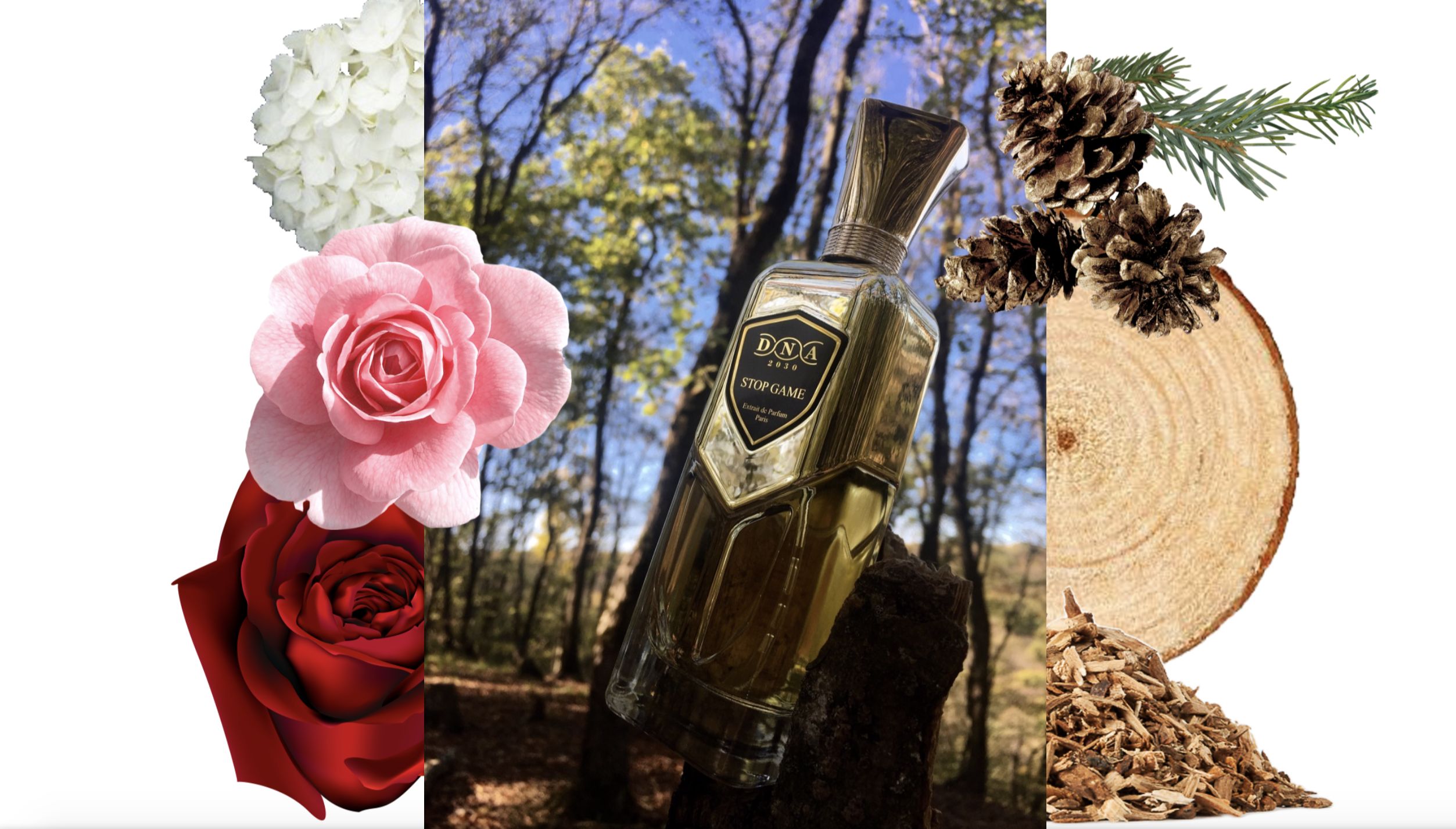 عطر ادکلن استاپ گیم سیر پرفیومر دی‌ان‌ای بیست‌سی - Stop Game Sir Parfumer DNA 2030 - بررسی، قیمت و خرید