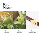 عطر ادکلن وایت تی ماندارین بلوسم الیزابت آردن - White Tea Mandarin Blossom Elizabeth Arden - بررسی، قیمت و خرید