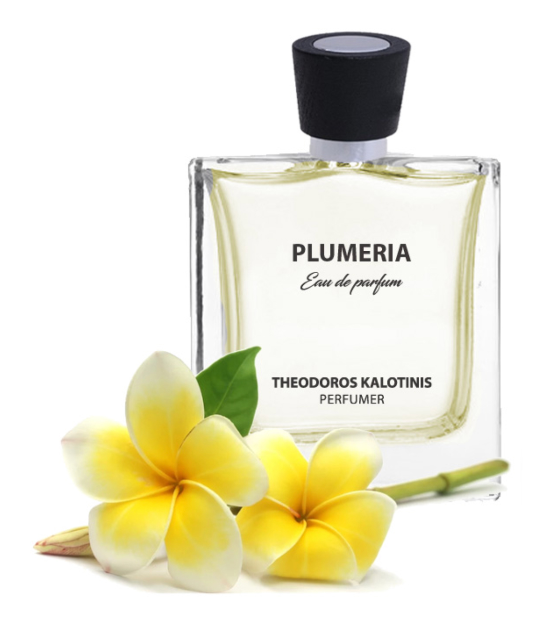 عطر ادکلن پلومریا تئودوروس کالوتینیس - Plumeria Theodoros Kalotinis - بررسی، قیمت و خرید