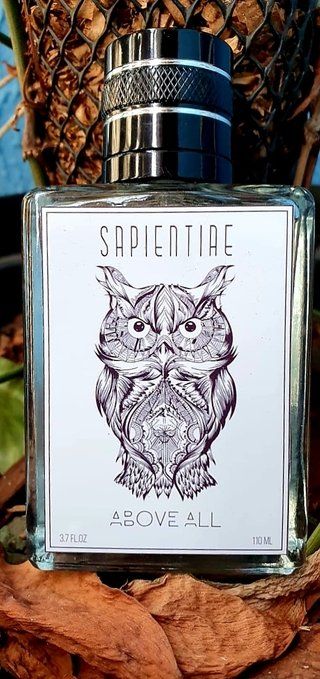 عطر ادکلن اباو آل ساپینتیا نیش - Above All Sapientiae Niche - بررسی، قیمت و خرید