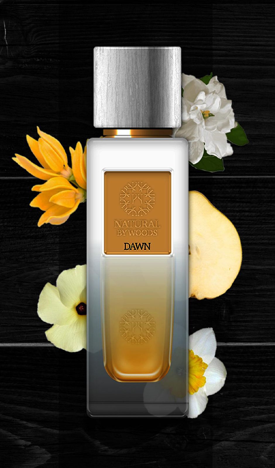 عطر ادکلن دا‌ن د وودز کالکشن - Dawn The Woods Collection - بررسی، قیمت و خرید