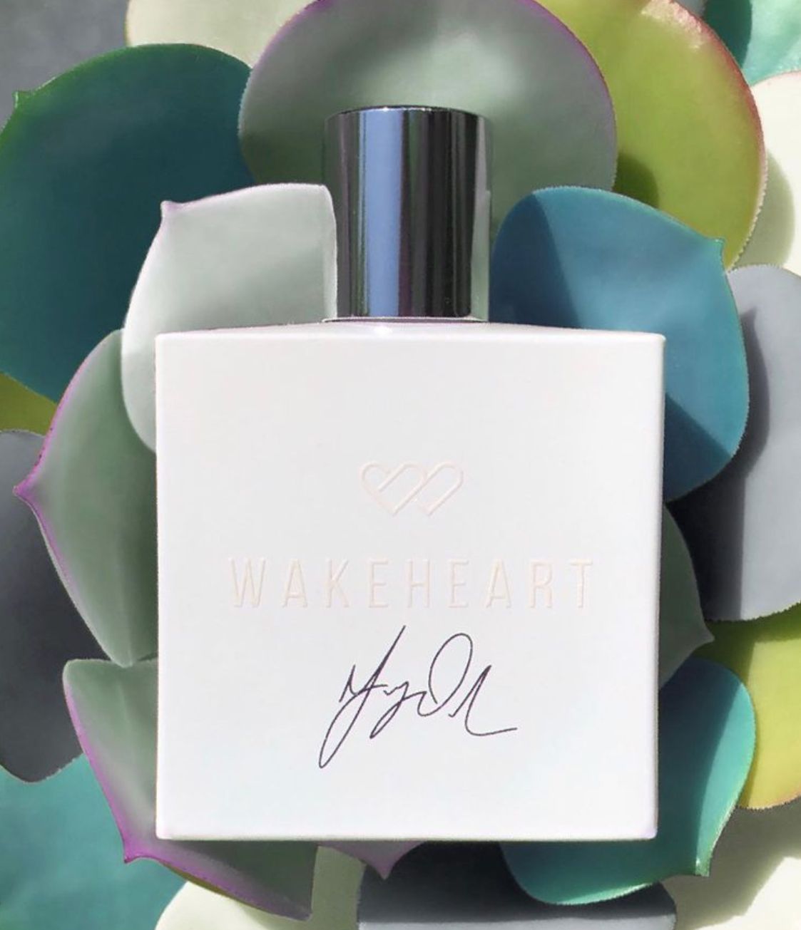 عطر ادکلن گریسون دولان سیگنیچر سنت ویک‌هارت - Grayson Dolan Signature Scent Wakeheart - بررسی، قیمت و خرید