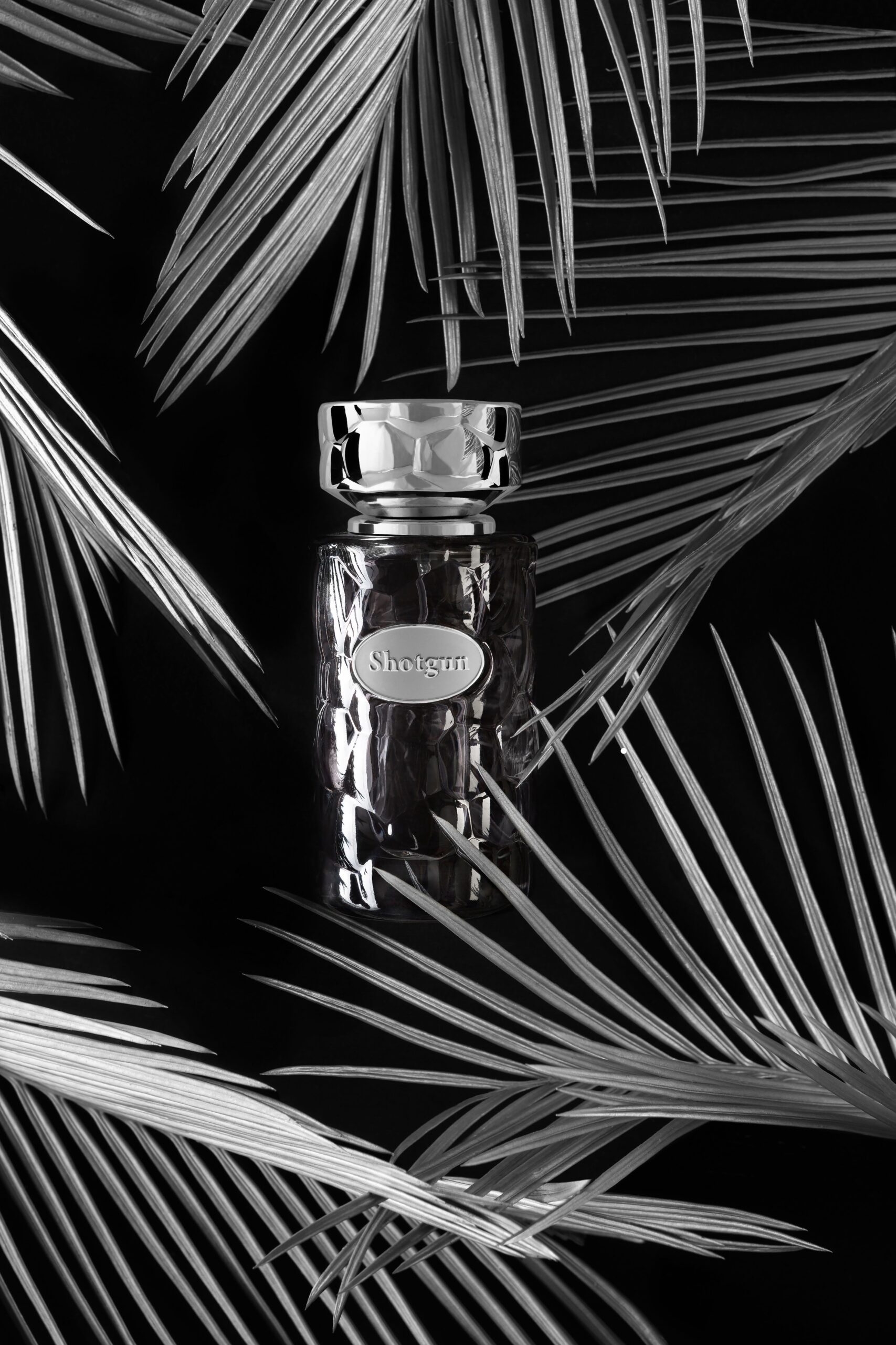 عطر ادکلن ورسی شاتگان ورسای - Versailles Shotgun Versailles - بررسی، قیمت و خرید