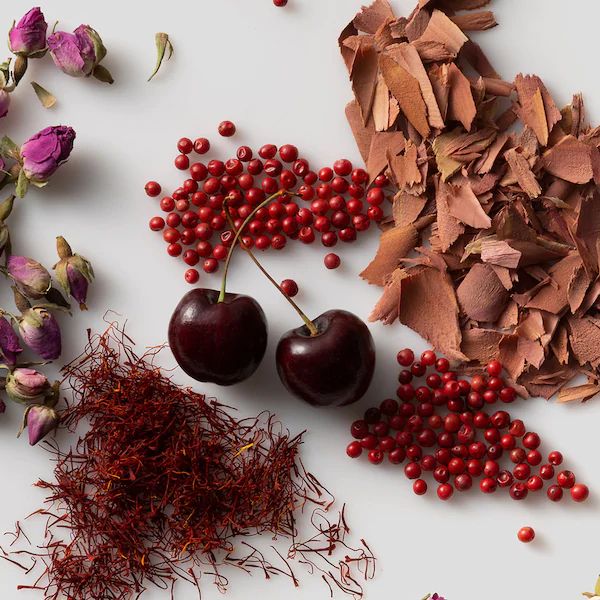 عطر ادکلن اینتِنشِن دفلوید پروجکت - Intention The Phluid Project - بررسی، قیمت و خرید