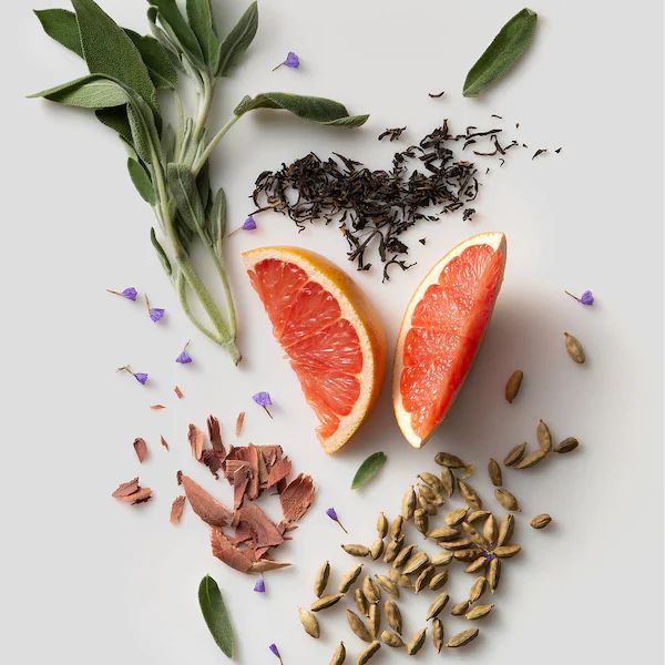 عطر ادکلن بالانس د فلوید پراجکت - Balance The Phluid Project - بررسی، قیمت و خرید