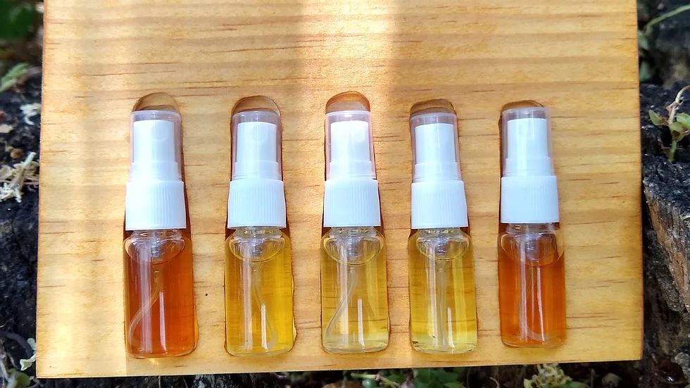 عطر ادکلن روجا سابلو سوآسونا پارفوم - Ruĝa Sablo Suassuna Parfums - بررسی، قیمت و خرید