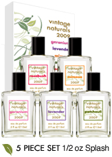عطر ادکلن وینتیج نچرالز ۲۰۰۹ پاچولی دیمتر فراگرنس - Vintage Naturals 2009 Patchouli Demeter Fragrance - بررسی، قیمت و خرید