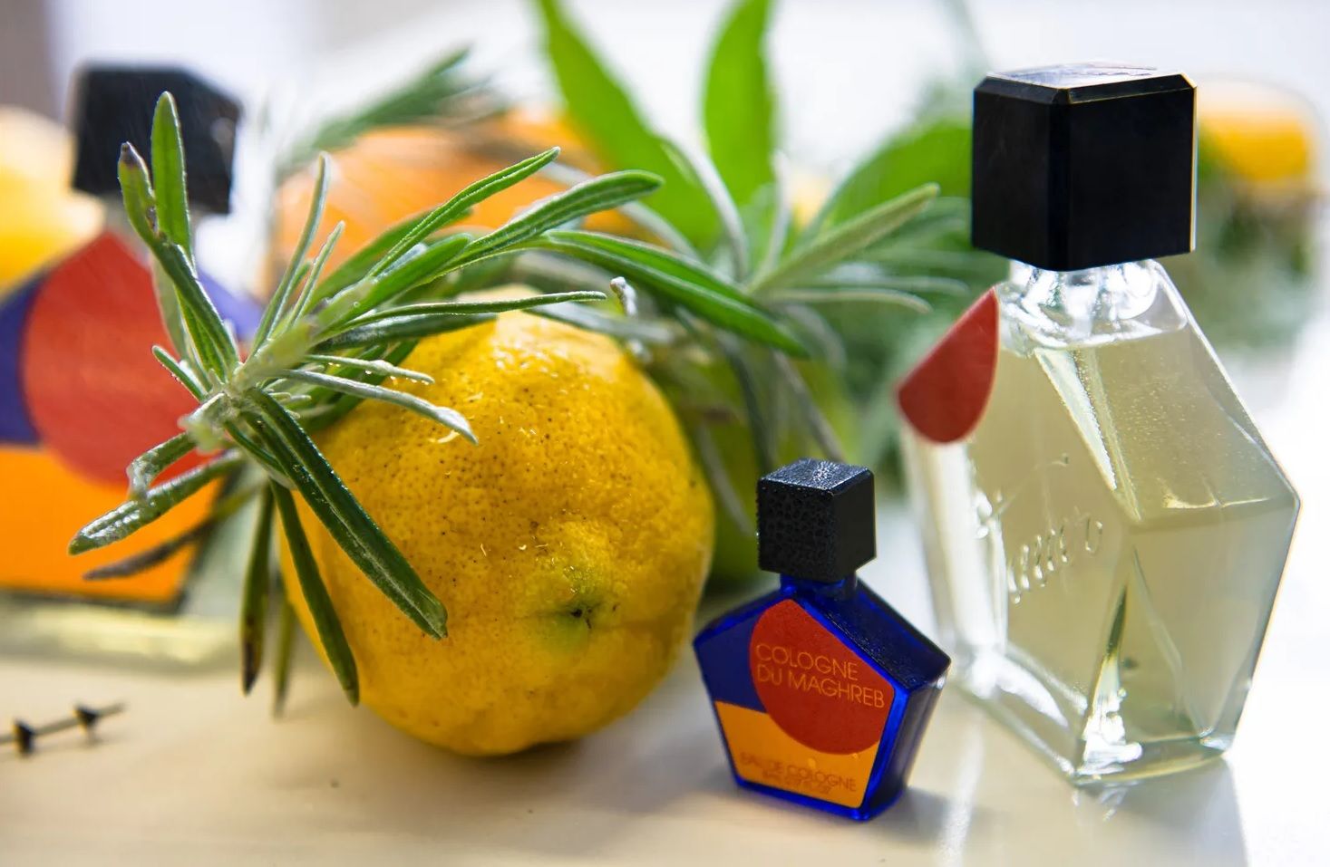 عطر ادکلن کُلون دو مغرب تاور پرفیومز - Cologne Du Maghreb (2021) Tauer Perfumes - بررسی، قیمت و خرید