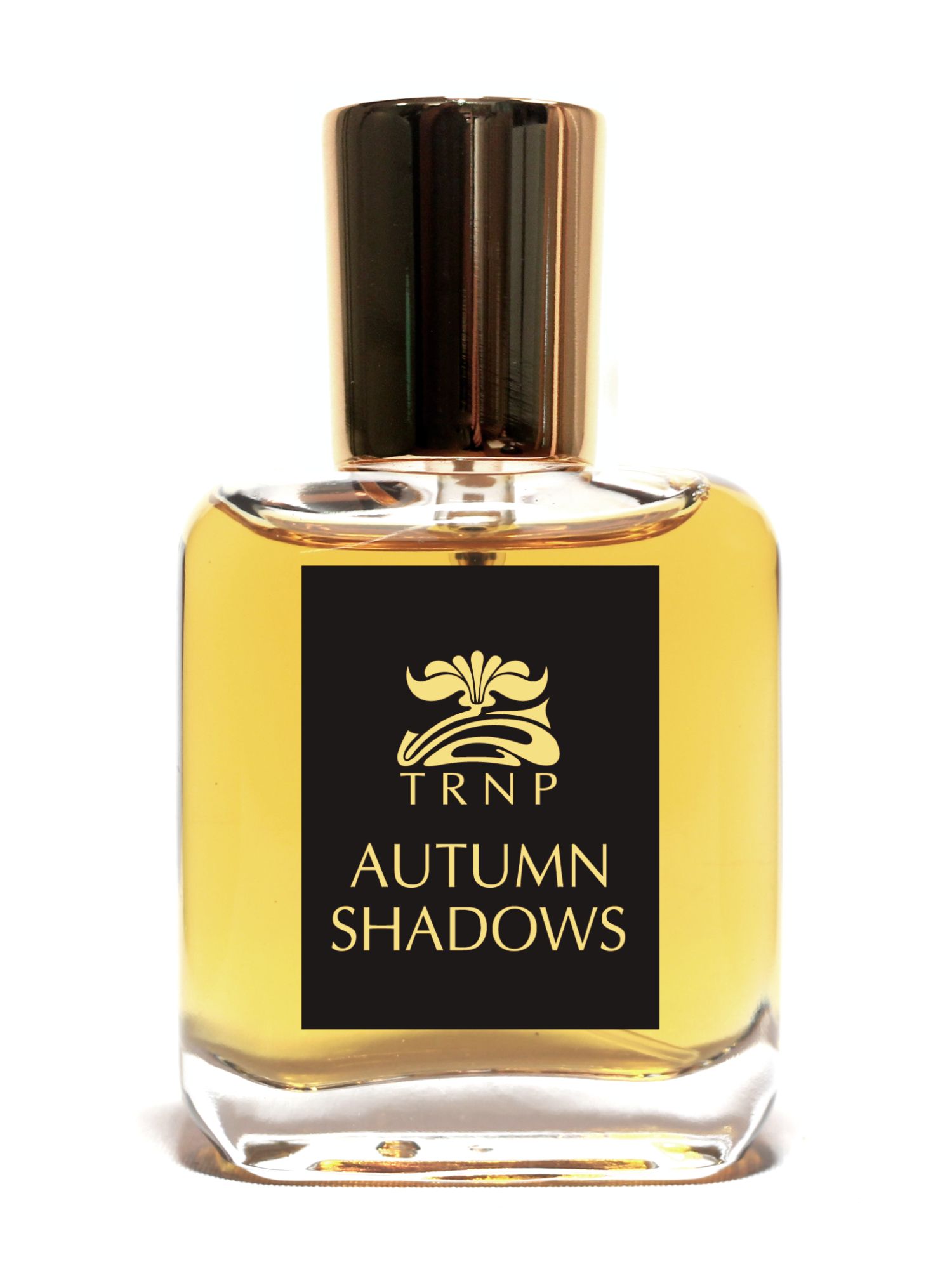 عطر ادکلن آتام شَدوز ترنپ - Autumn Shadows TRNP - بررسی، قیمت و خرید