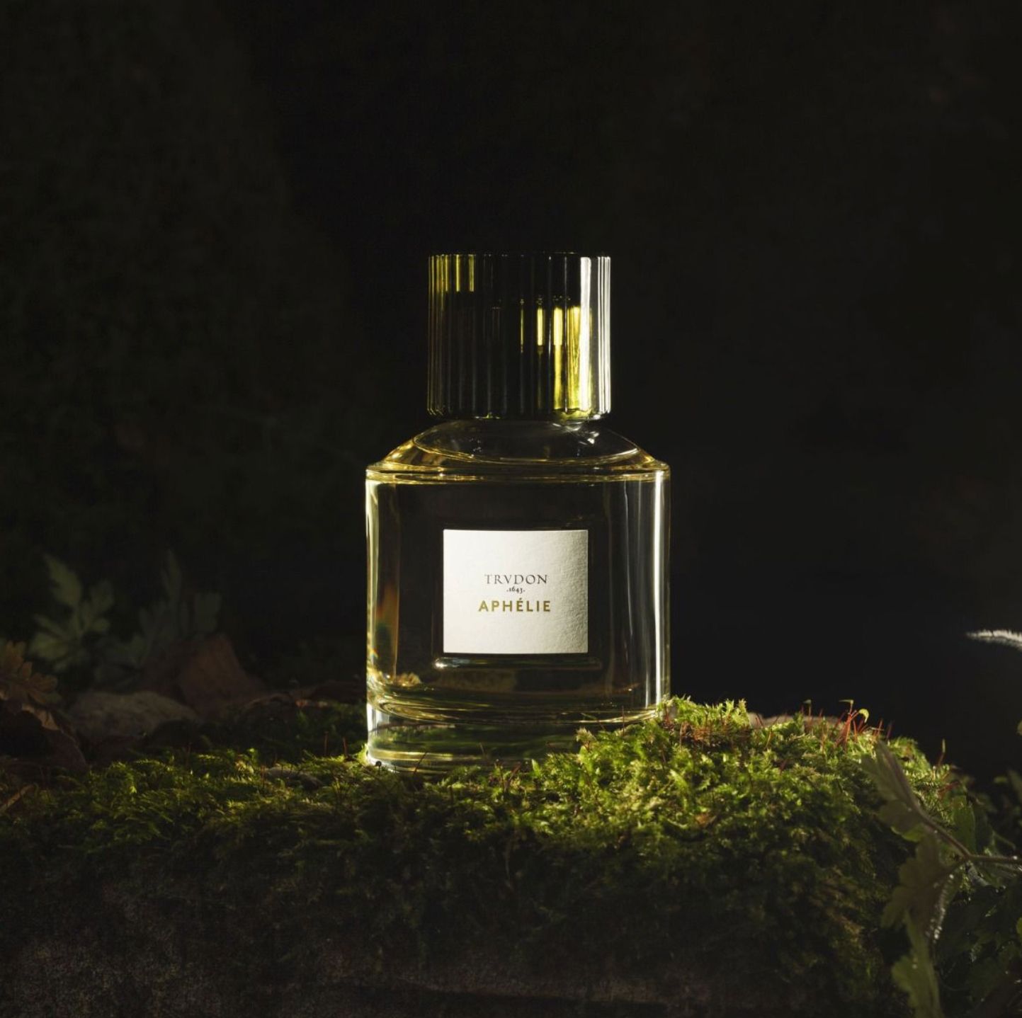 عطر ادکلن آفیلی ترودان - Aphélie Trudon - بررسی، قیمت و خرید