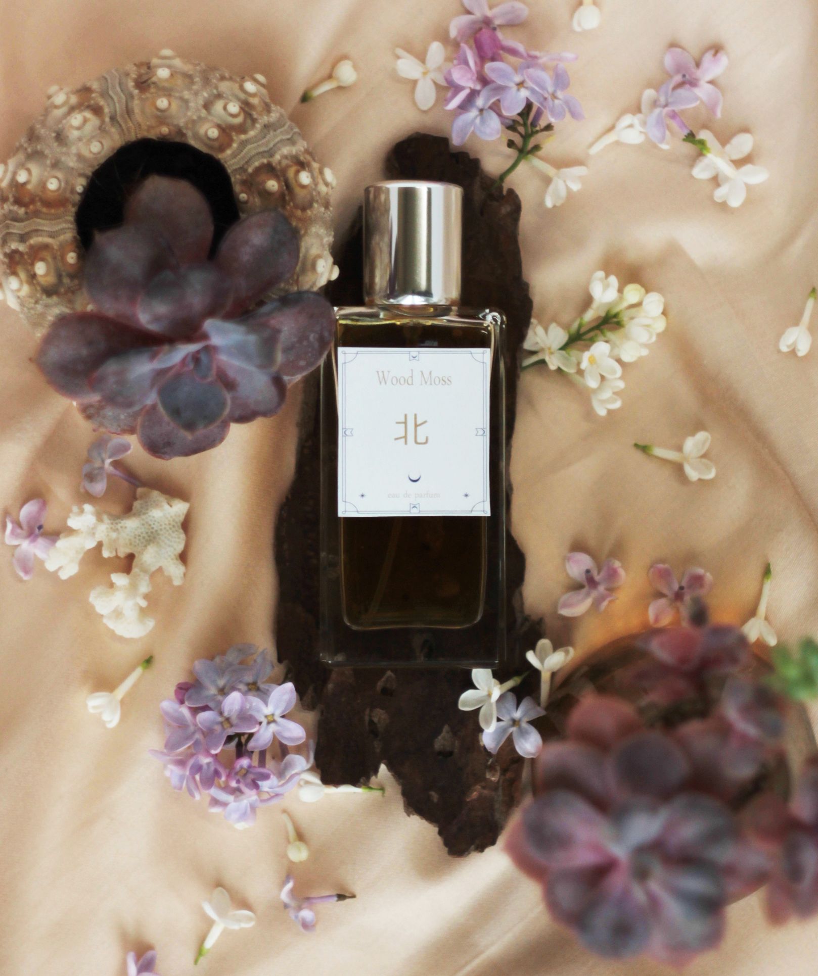 عطر ادکلن نورث وود ماس - North Wood Moss - بررسی، قیمت و خرید