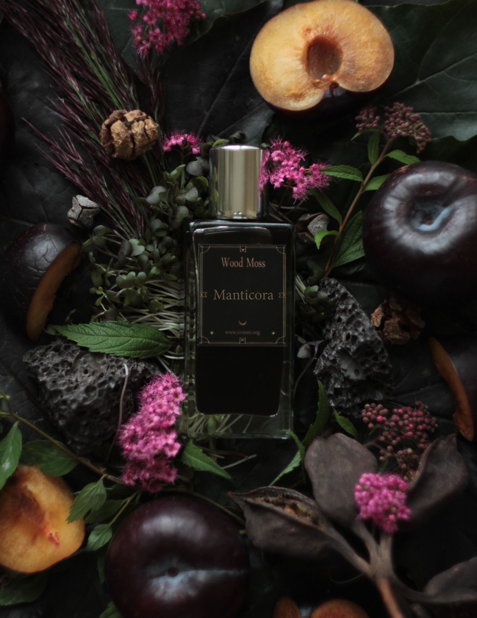 عطر ادکلن مانتیکورا وود ماس - Manticora Wood Moss - بررسی، قیمت و خرید