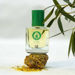 عطر ادکلن پاچیلای فیلیت - Patchilai - India Fiilit - بررسی، قیمت و خرید