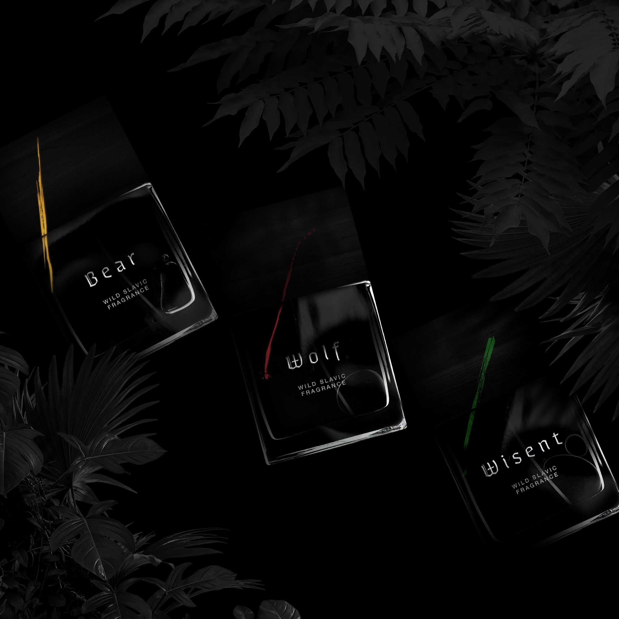 عطر ادکلن وایسنت وولف برادرز - Wisent Wolf Brothers - بررسی، قیمت و خرید