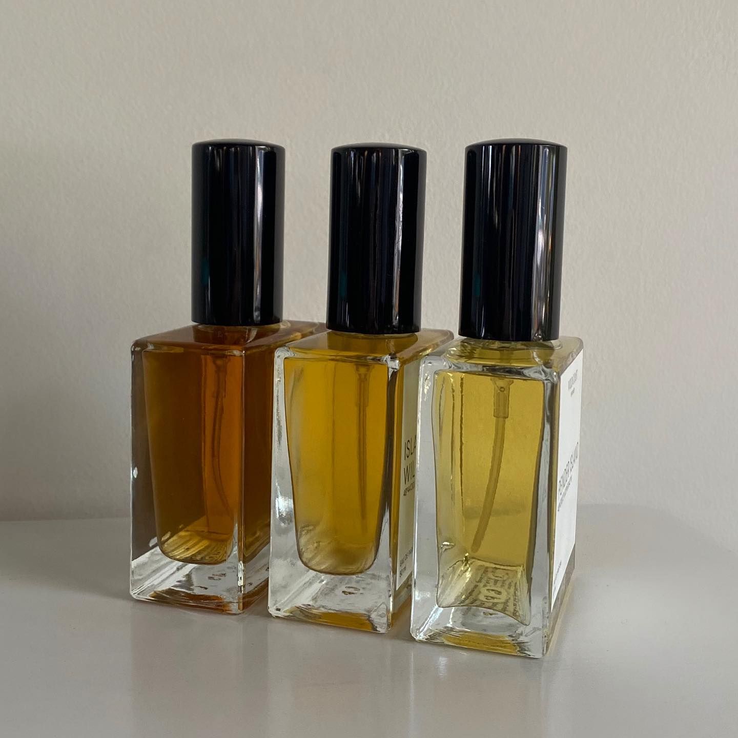 عطر ادکلن ویسلر وایلد کوست پرفیومری - Whistler Wild Coast Perfumery - بررسی، قیمت و خرید