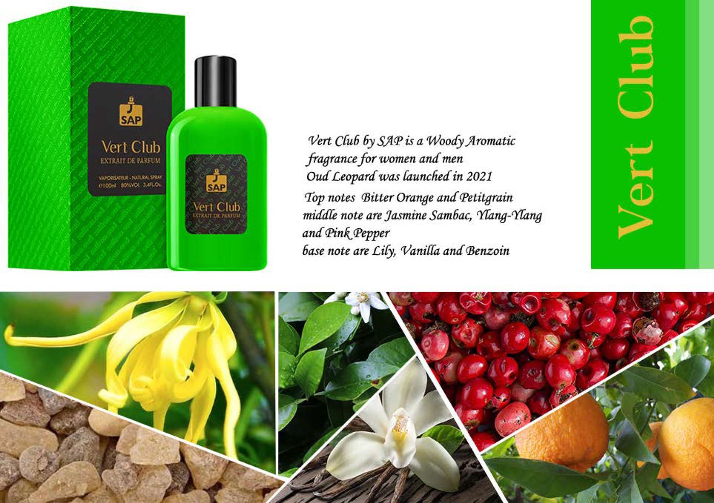 عطر ادکلن ورت کلاب سپ پرفیوم - Vert Club SAP Perfume - بررسی، قیمت و خرید