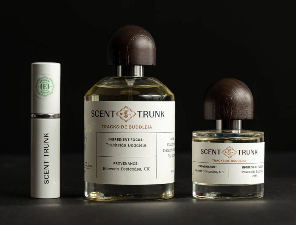 عطر ادکلن ترکساید بودلیا سِنت ترامک - Trackside Buddleia Scent Trunk - بررسی، قیمت و خرید