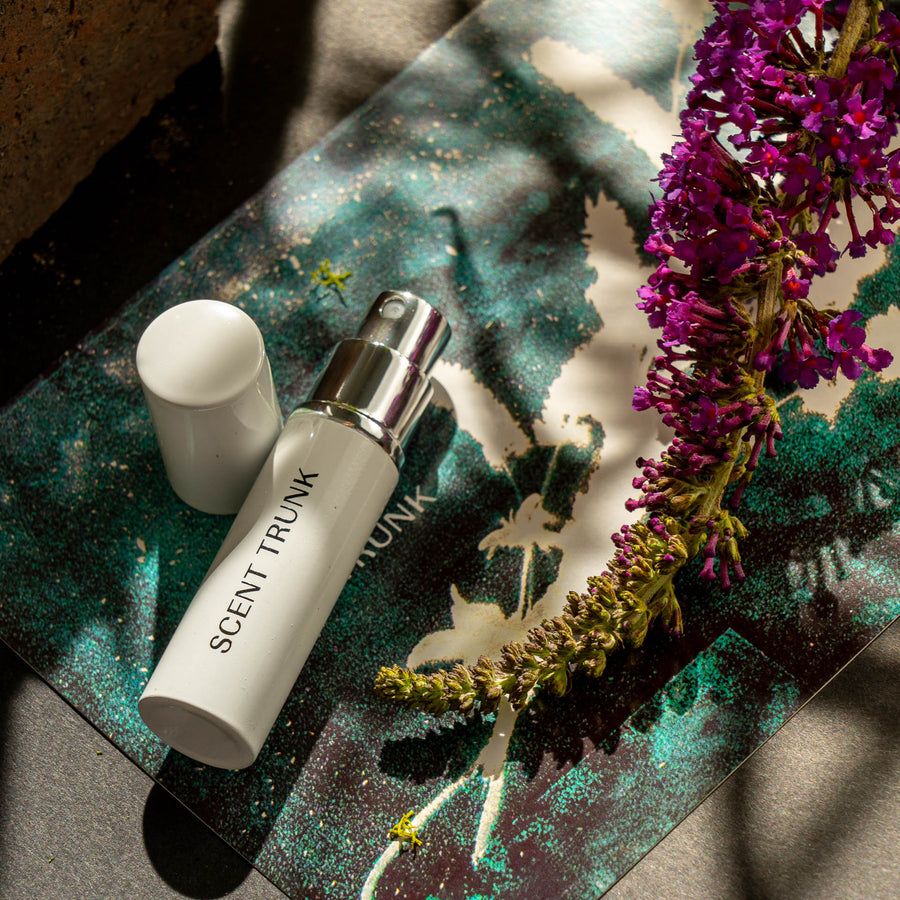 عطر ادکلن ترکساید بودلیا سِنت ترامک - Trackside Buddleia Scent Trunk - بررسی، قیمت و خرید