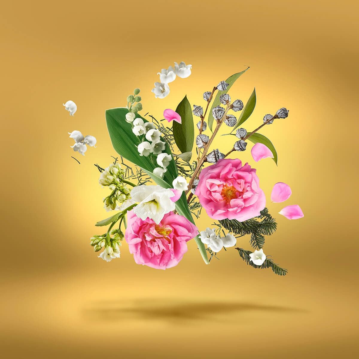 عطر ادکلن اکسنتو اوردوز پراید ادیشن زرژوف - Accento Overdose Pride Edition Xerjoff - بررسی، قیمت و خرید