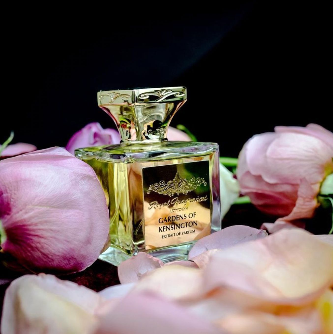 عطر ادکلن گاردنز آو کنزینگتون رویال فراگرنس لندن - Gardens of Kensington Royal Fragrances London - بررسی، قیمت و خرید
