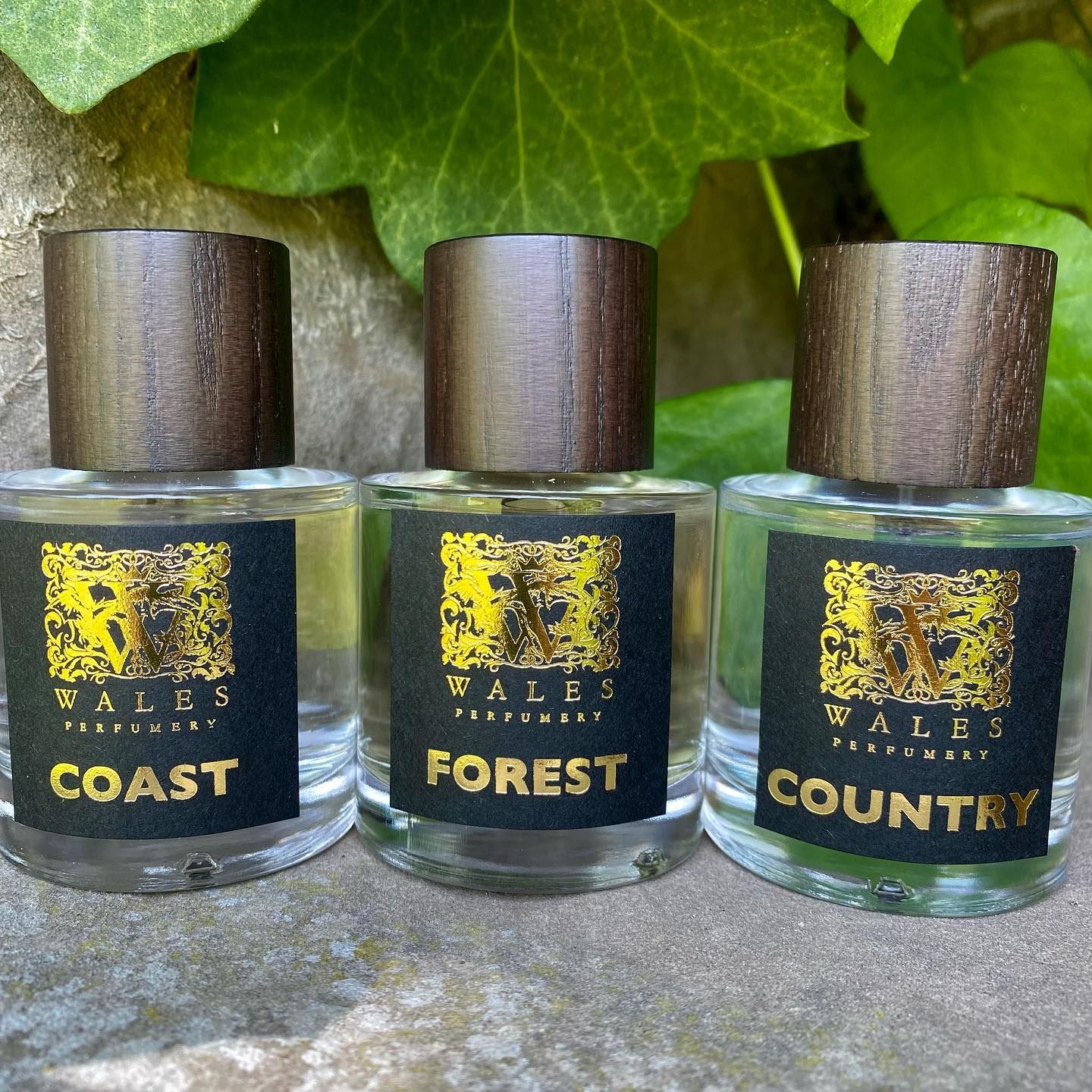 عطر ادکلن کانتری ویلز پرفیومری - Country Wales Perfumery - بررسی، قیمت و خرید