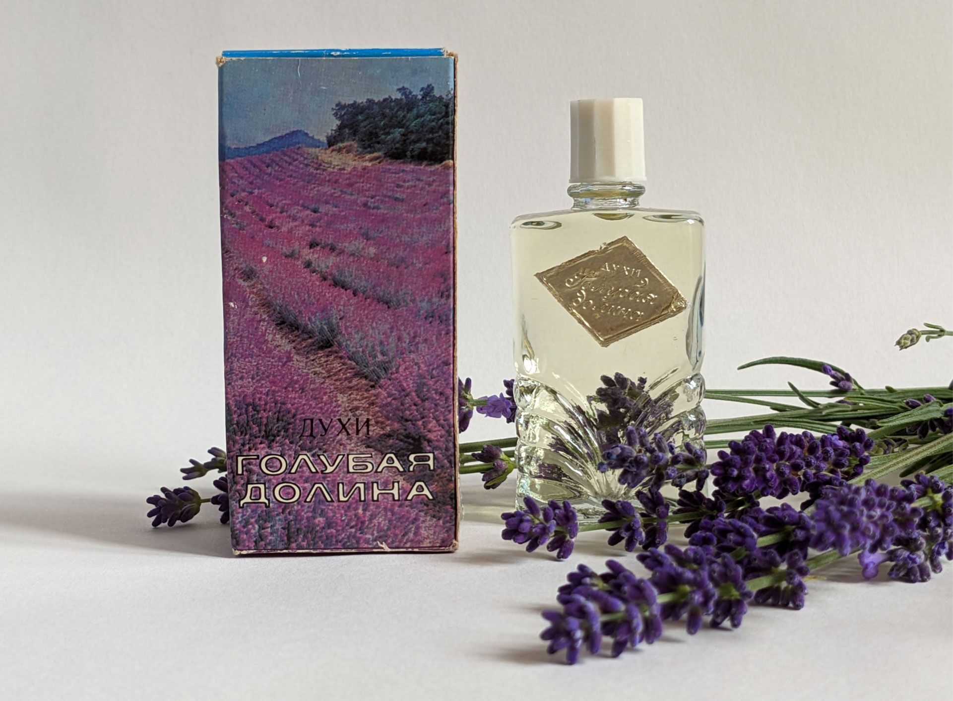 عطر ادکلن گلبایا دولینا کرایمین رز - Голубая долина (Blue valley) Crimean rose – Крымская роза - بررسی، قیمت و خرید