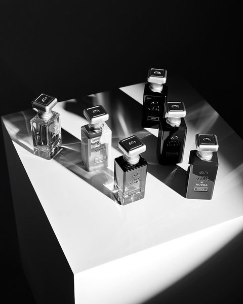 عطر ادکلن اسپایسی تو مارک - Spicy Two Mark - بررسی، قیمت و خرید