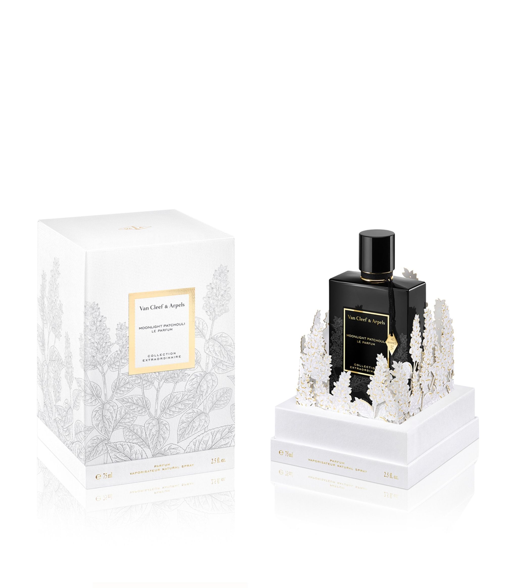 عطر ادکلن مون لایت پچولی له پارفوم ون کلیف اند آرپلس - Moonlight Patchouli Le Parfum Van Cleef & Arpels - بررسی، قیمت و خرید