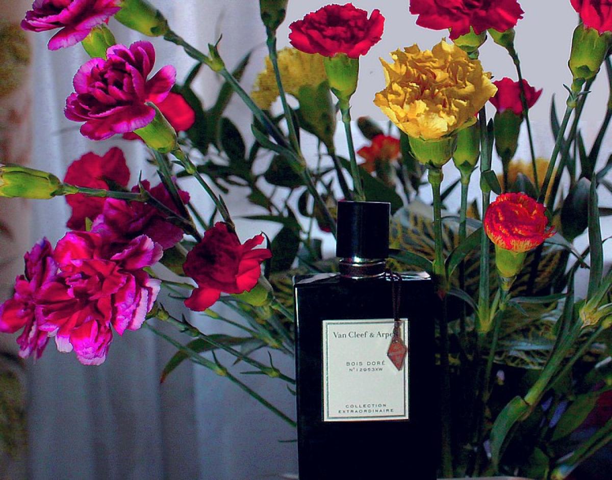 عطر ادکلن بوا دوری ون کلیف اند آرپلز - Bois Doré Van Cleef & Arpels - بررسی، قیمت و خرید