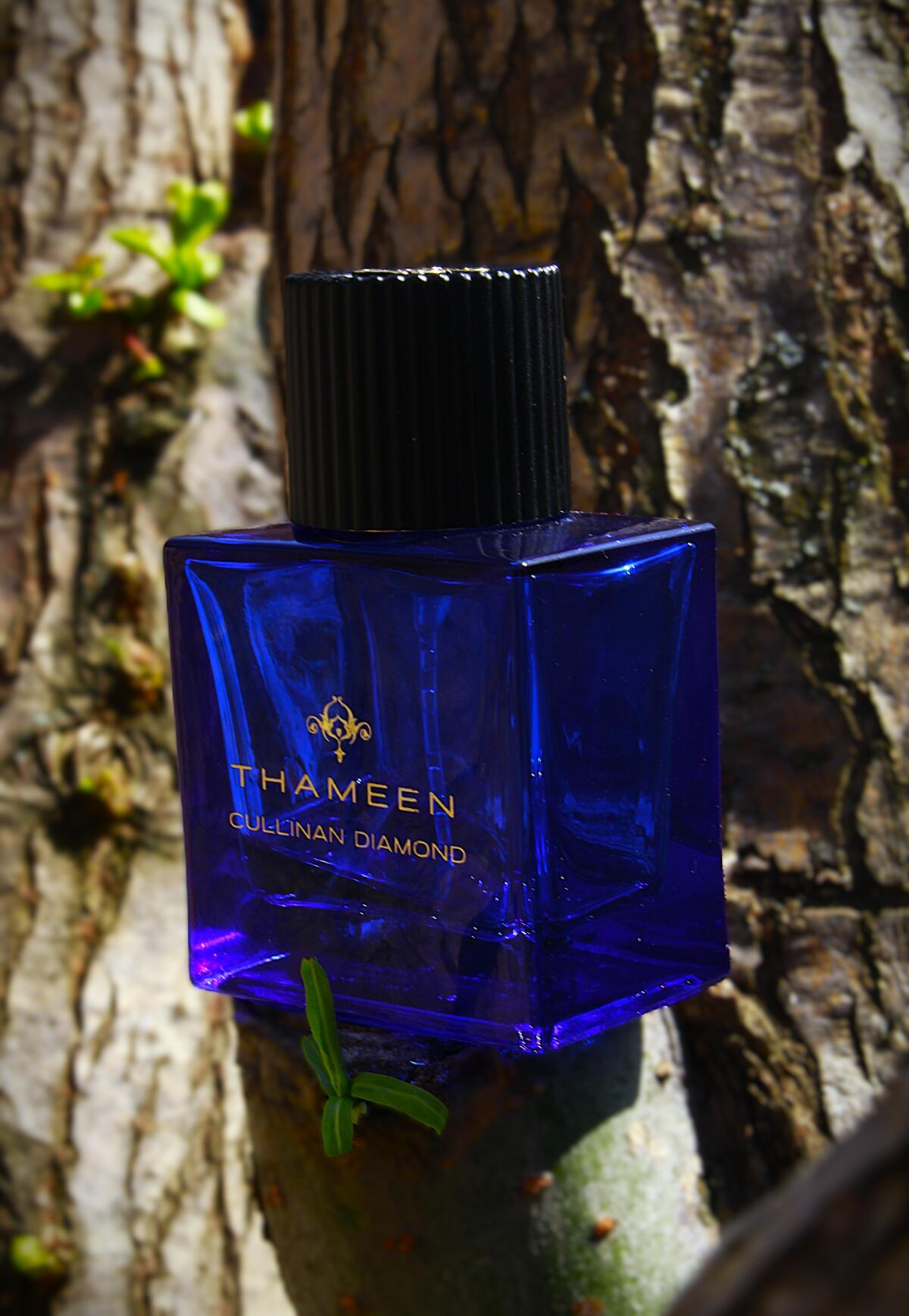عطر ادکلن کالینان دایمند تهمین - Cullinan Diamond Thameen - بررسی، قیمت و خرید
