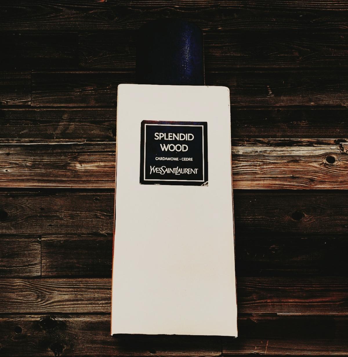 عطر ادکلن اسپلندید وود ایو سن لوران - Splendid Wood (Le Vestiaire des Parfums) Yves Saint Laurent - بررسی، قیمت و خرید