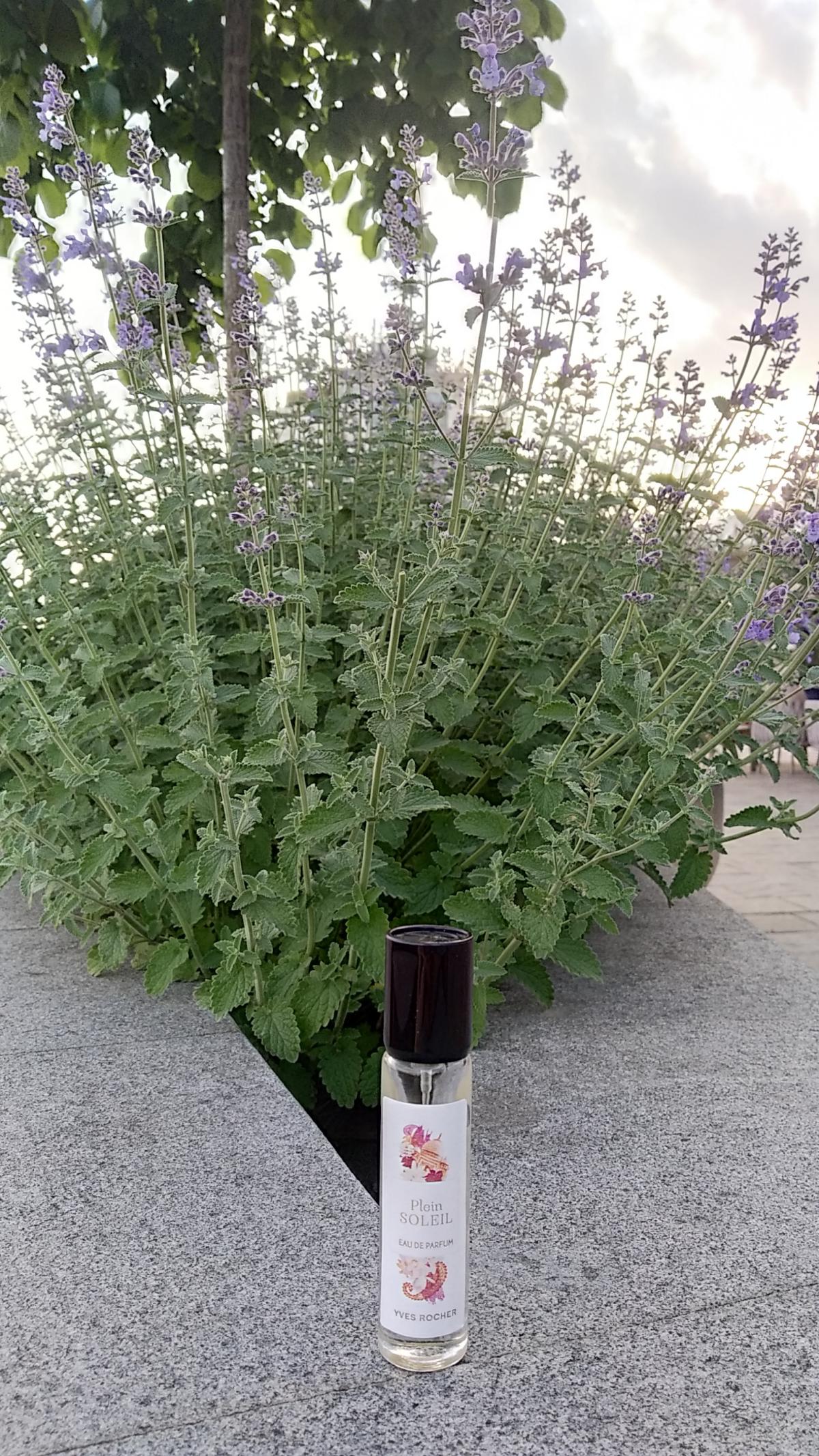 عطر ادکلن پلن سوله ایو روشه - Plein Soleil Yves Rocher - بررسی، قیمت و خرید