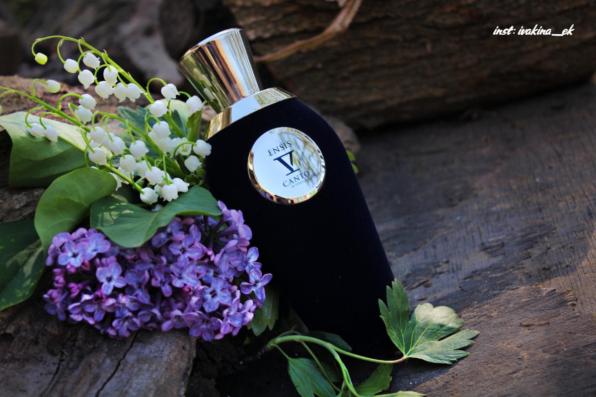 عطر ادکلن اینسیس وی کانتو - Ensis V Canto - بررسی، قیمت و خرید